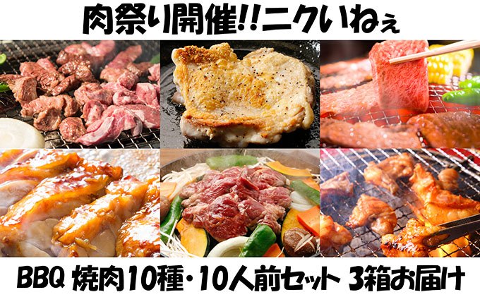 肉祭り開催！BBQセット　～焼肉10種　10人前コース～　3箱セット