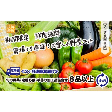 ふるさと納税 定期便 ≪3ヶ月連続お届け≫ 鮮度抜群 農場より直送！お楽しみ野菜セット 旬の野菜・定番野菜・手作り加工品詰合.. 福井県越前町