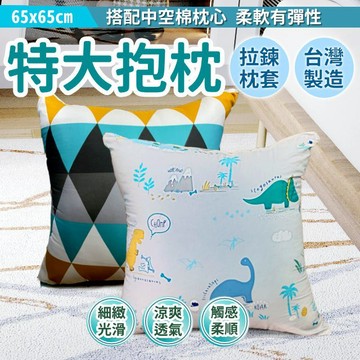 特大抱枕 65 X 65cm  萊賽爾材質 柔軟有彈性款 台灣製造 床頭靠背 拉鍊式枕套 可拆洗
