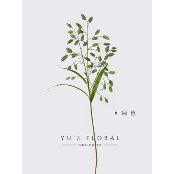 仿真花 小盼草 單枝假花 葉材類 室內家居軟裝 空間陳設 攝影道具