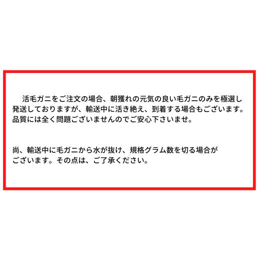 ふるさと納税 岩手県 大槌町 三陸産 三陸活毛ガニ 300g×2杯（2尾）　天然 国産 冷蔵 三陸 直送 濃厚 かに 蟹 カニ 毛ガニ 毛蟹 毛が…