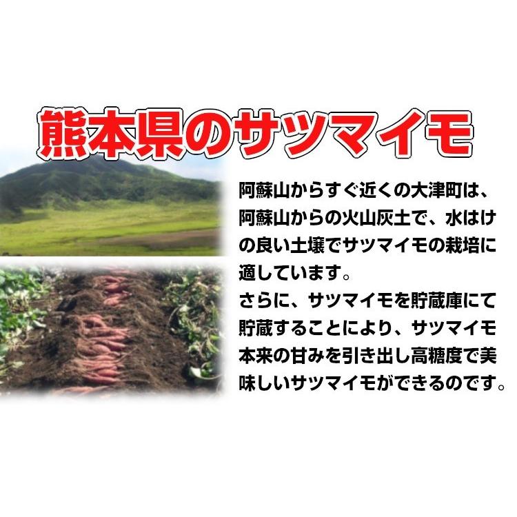 熊本産紅はるか丸形Ｓサイズ蜜芋 送料無料 ご家庭用 お歳暮