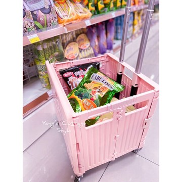 ｛現貨 附發票｝免運 現貨速發 便攜輕巧 推車 購物車 菜籃 置物箱 生活用品 居家生活 好推 好拿 方便 衛生 耐重 椅子