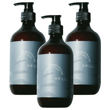 VIIGO 拾刻溫和衣物手洗精 清晨拾光  500g  3瓶