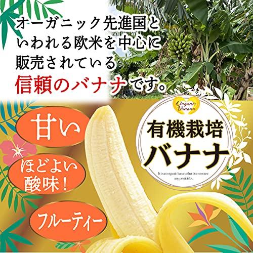 有機 無農薬 安全オーガニック バナナ 約2kg ※野菜ソムリエ監修