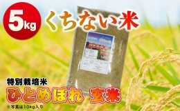 令和5年産  くちない米（特別栽培米ひとめぼれ 玄米）5kg