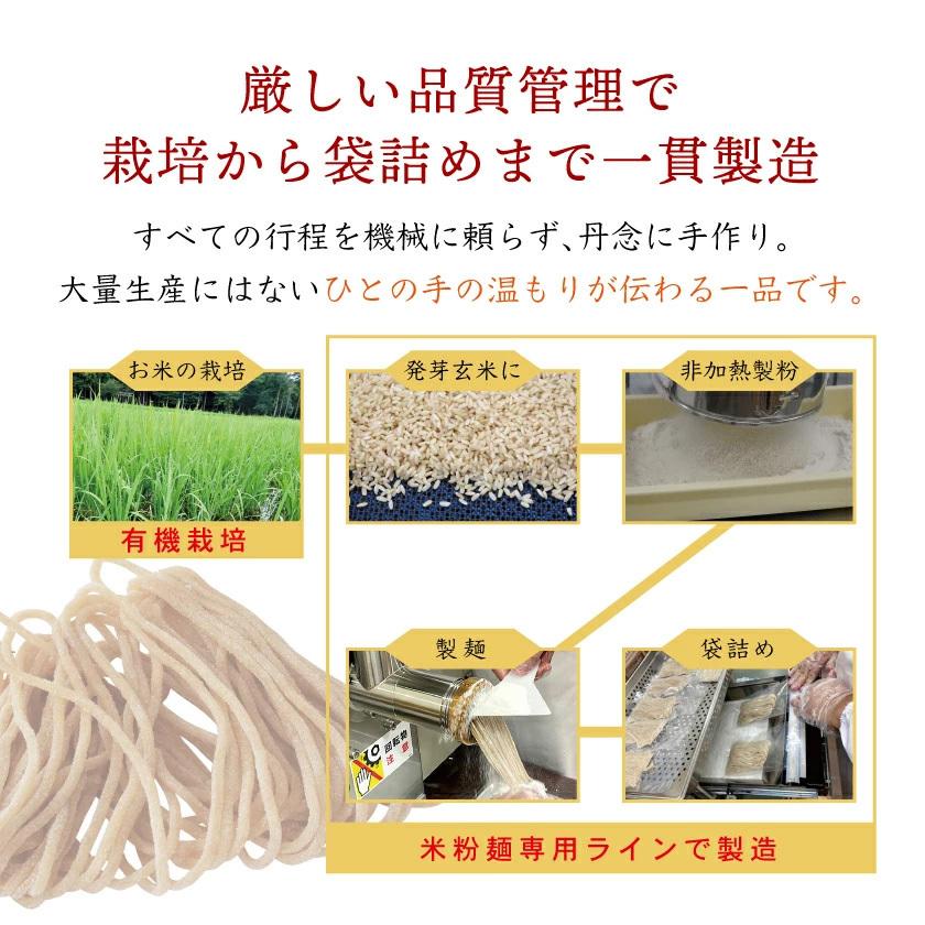 プレゼント グルテンフリー パスタ 発芽玄米ぱすた2mm 1食 米粉麺 スパゲッティ ラーメン 無添加 アレルギー対応食品 国産 オーガニック