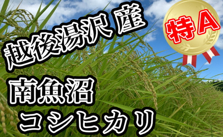 令和5年産 「越後湯沢産」