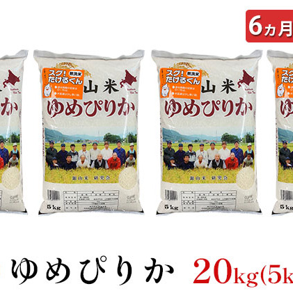 6ヵ月連続お届け　銀山米研究会の無洗米＜ゆめぴりか＞20kg