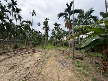 內埔崇文國小都計農地B｜屏東縣內埔鄉中林段