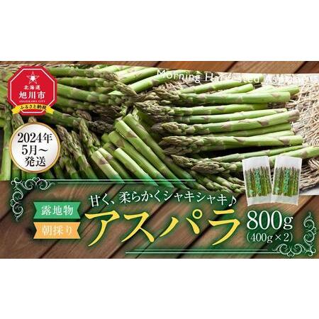 ふるさと納税 露地物朝採りアスパラ 2L〜3Lサイズ800g（400g×2）鮮度保持フィルム入り(2024年5月中旬発送予定) 【 アスパラ ア.. 北海道旭川市