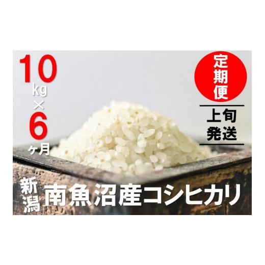 ふるさと納税 新潟県 南魚沼市 10kg×6ヶ月　南魚沼産コシヒカリ　うちやま農園米