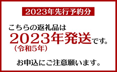 濃厚！こだわりの糸満完熟マンゴー　約1.5kg