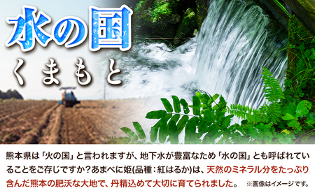 熊本県 大津町産 あまべに姫 (紅はるか) 約5kg ガブレス《60日以内に順次出荷(土日祝除く)》さつまいも 芋 紫芋 高糖度