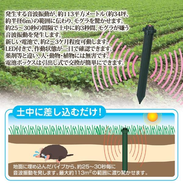 モグラ撃退器 約高さ41.5×キャップ部6.5cm 電池式 単1乾電池4本使用 音波振動 ガーデニング用品 園芸用品 害獣忌避 害獣対策