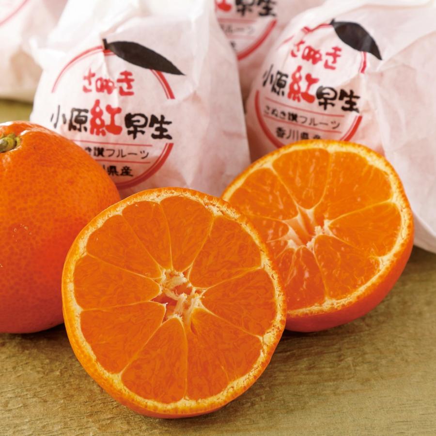 野菜 果物 フルーツ みかん 香川産 越冬樹上完熟「さぬき紅」 約3kg　（1月中旬-下旬お届け） FD7541