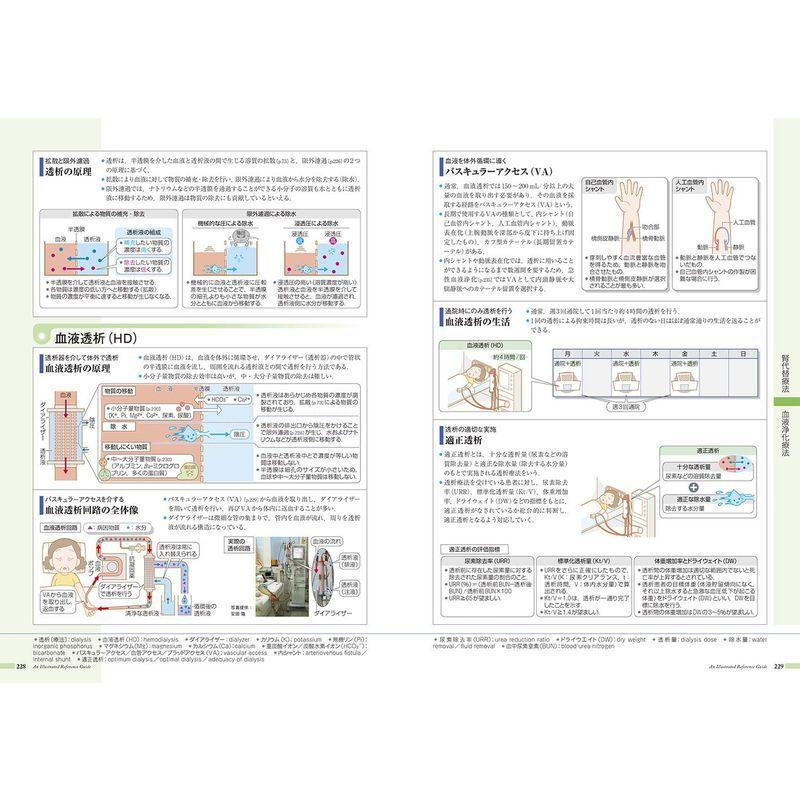 病気がみえる vol.8 腎・泌尿器