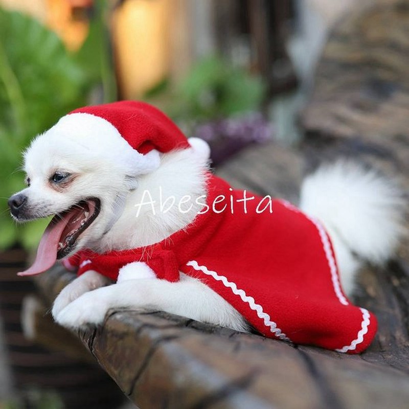 クリスマス サンタ衣装 ペット コスプレ 21 犬用 猫用 サンタ帽子 サンタクロース 仮装 クリスマスプレゼント 通販 Lineポイント最大get Lineショッピング