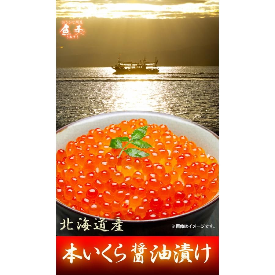 イクラ いくら醤油漬け 200g 本いくら 鮭子 北海道産 国産 在宅 母の日 父の日 敬老 在宅応援 中元 お歳暮 ギフト