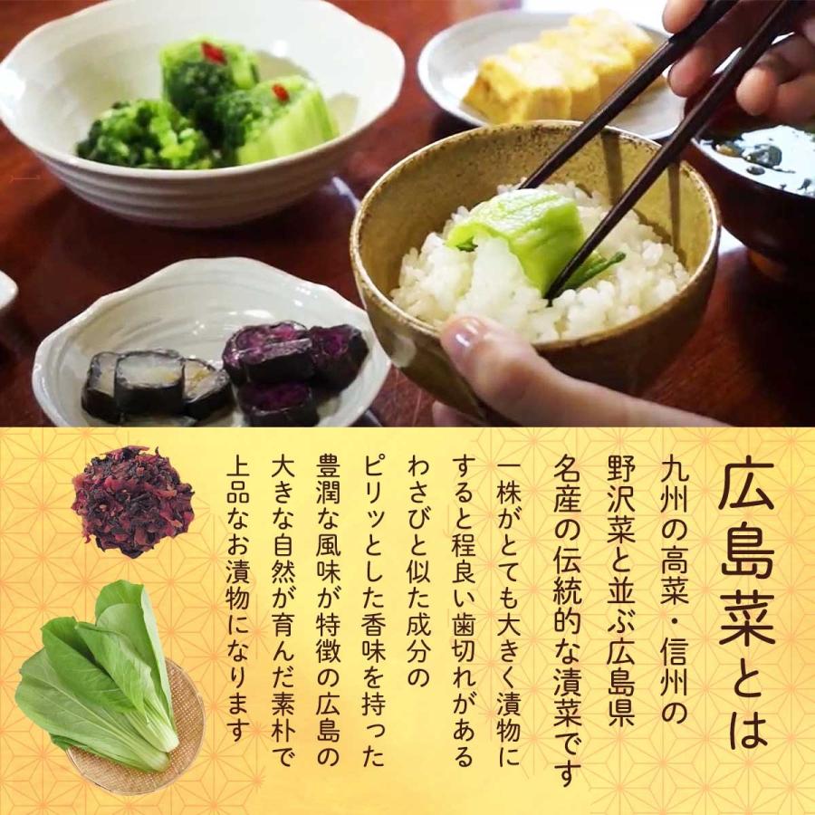 送料無料 [山豊] 漬物 広島菜 レモン 広島菜  100g×3  広島 漬物 漬菜 広島菜 レモン 国産