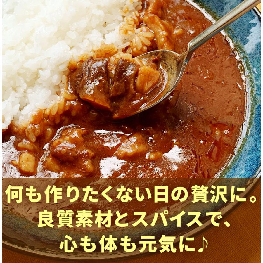 超得クーポン配布中 カレー レトルト 牛すじカレー 2袋 100％国産 牛すじ 中辛 惣菜 非常食 おつまみ 珍味 牛肉 ご飯のお供 贅沢 酒のつまみ  年末年始