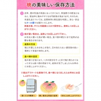 和歌山県紀の川市産 白鳳(赤秀) 11-15玉入り 桃 モモ もも 株式会社松源《2024年6月下旬-7月中旬頃より順次出荷》和歌山県 紀の川市