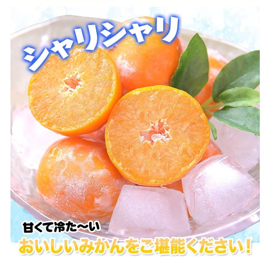 セット購入でおまけ付き 冷凍 小玉 みかん 皮付き 熊本県産 1.5kg 500g×3袋 送料無料 フルーツ シャーベット アイス 7-14営業以内発送予定(土日祝除く)