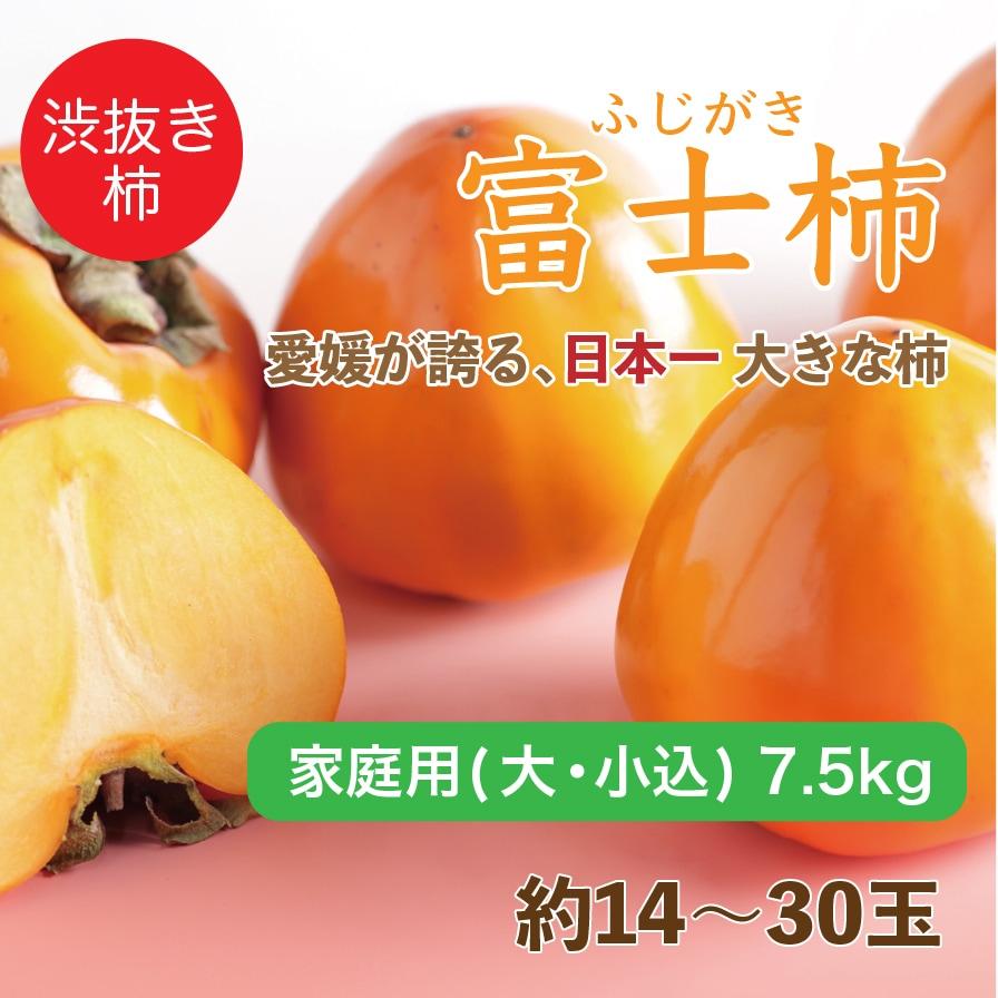 愛媛八幡浜特産 富士柿 愛媛県産 柿 かき 家庭用 大・小込み 7.5kg 約14~30玉 産地直送 送料無料