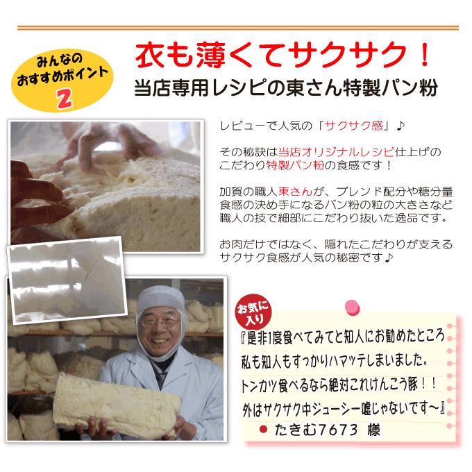 ギフト 肉 ロース とんかつ 4枚(約120g) けんこう 豚 ギフト 可能 国産 冷凍