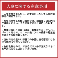 こどもも食べられる甘み！ジュースにしても美味しい！「マドンナキャロット」 10kg にんじん 野菜 H105-091