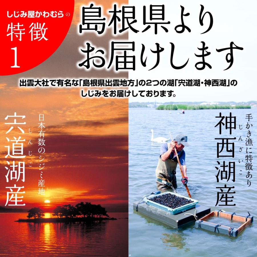 島根県・宍道湖産冷凍しじみ　Mサイズ 2kg（1kg×2袋・2キロ）送料無料 砂抜き済 シジミ 蜆 お取り寄せ しじみ屋かわむら