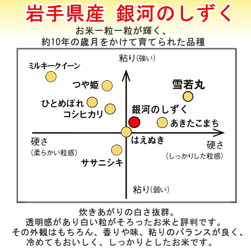 新米 米 お米 10kg×3 銀河のしずく 玄米30kg 令和5年産 岩手県産 白米・無洗米・分づきにお好み精米 送料無料 当日精米