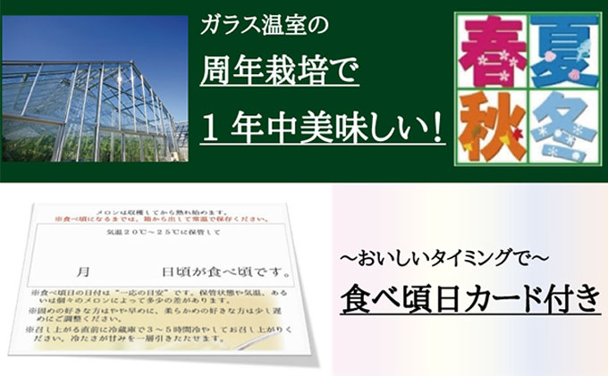 数量限定！クラウンメロン 山等級 ”極みメロン” 3玉 ギフト箱入 人気 厳選 ギフト 贈り物 デザート グルメ 果物 袋井市