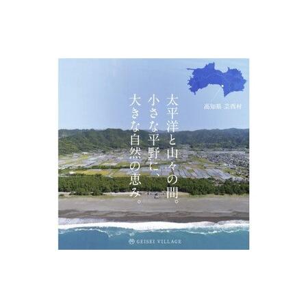 ふるさと納税 朝どれ！ 野菜詰合せ／芸西村で採れた新鮮な野菜6〜8種類をお届けします。特産品 ピーマン ナス こだわりの栽培方法 環境に優しい .. 高知県芸西村