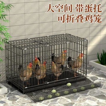 雞籠子家用特大號家禽陽臺折疊狗籠養殖清糞室外自動滾蛋雞窩雞舍