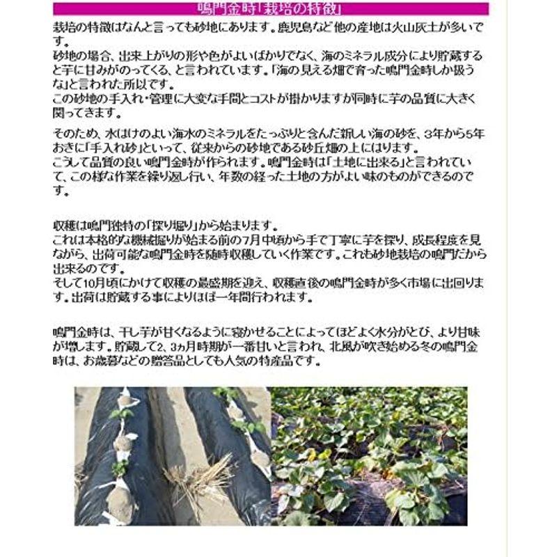 鳴門金時芋（里浦産）３Ｋｇ北海道、沖縄及び離島は別途発送料金が発生します