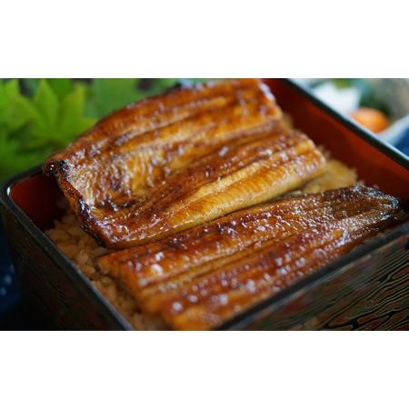 ふるさと納税 浜名湖産 鰻の蒲焼き2本（約140g×2本） 静岡県浜松市