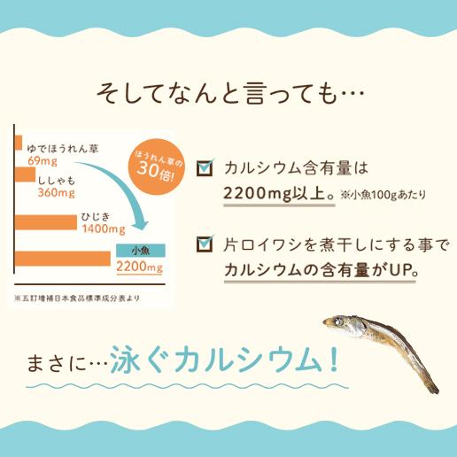 おつまみ ナッツ アーモンド小魚 送料無料  小魚アーモンド 訳あり ビール