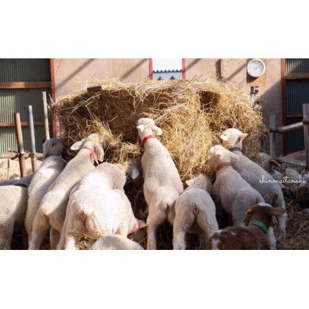 ふるさと納税 石狩ひつじ牧場の「羊乳のヨーグルト」 北海道札幌市