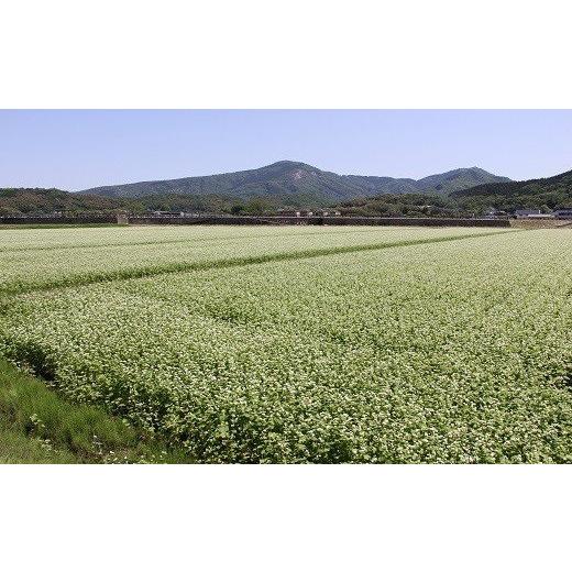 ふるさと納税 大分県 豊後高田市 R5秋新そば 豊後高田なまそば（100g×8食・つゆ付）