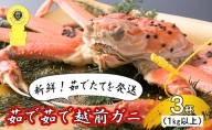 茹で越前ガニ食通もうなる本場の味をぜひ、ご堪能ください。1kg以上×3杯　越前がに 越前かに 越前カニ ずわいがに かに カニ ボイルガニ