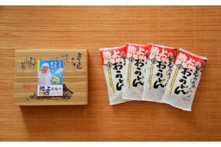 讃岐生うどん12食入（1袋3食入×4袋）＊鎌田醤油だし醤油付＊  池上製麺所監修！｜うどん 生麺