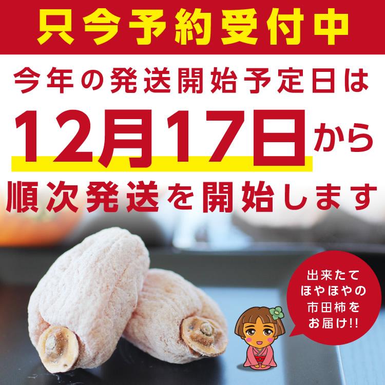 予約 干し柿 市田柿 1kg（500g×2袋） 長野産 ドライフルーツ 干柿 干し柿 ご自宅用 産地直送 お菓子 いちだかき GIマーク認証品 お歳暮