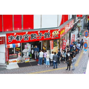 「宇都宮餃子館」のしそ餃子 8個入り×6パック(計48個)