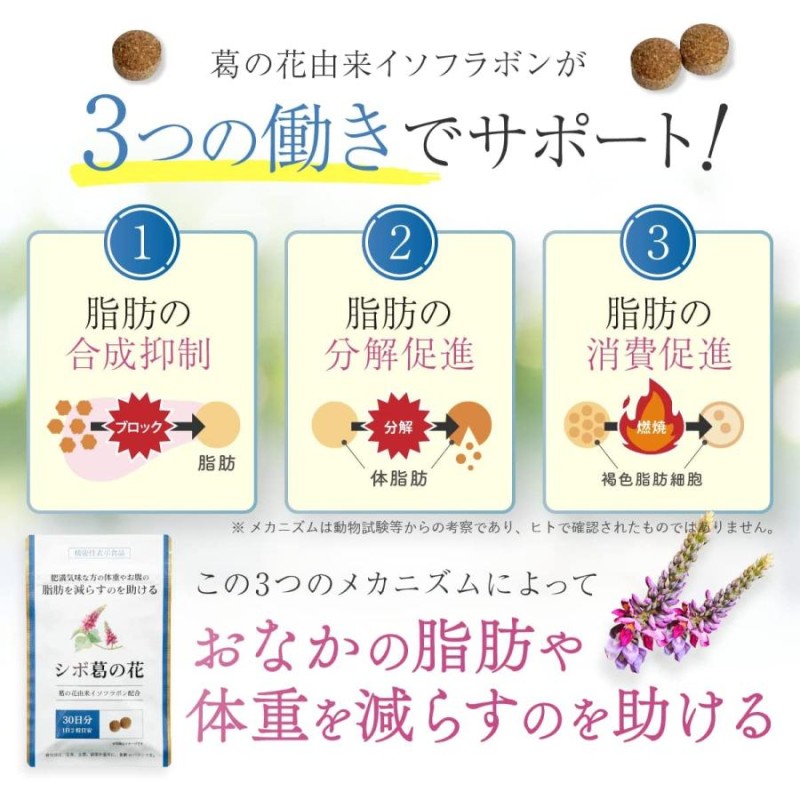 シボ葛の花 60粒 お腹の脂肪 ダイエット サプリメント | LINEブランドカタログ