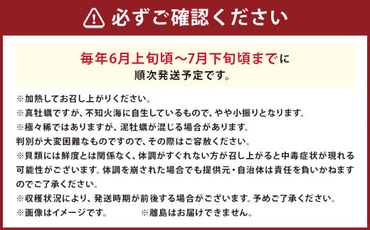 岩ガキ 合計約1.5kg（約150g×10個）加熱用 冷蔵 岩牡蠣