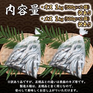 ふるさと納税 ししゃも雄雌食べ比べ 2ｋｇ セット 訳アリ シシャモ ししゃも カラフトししゃも 大洗 規格外 訳あり わけあり 傷_AV013 茨城県大洗町