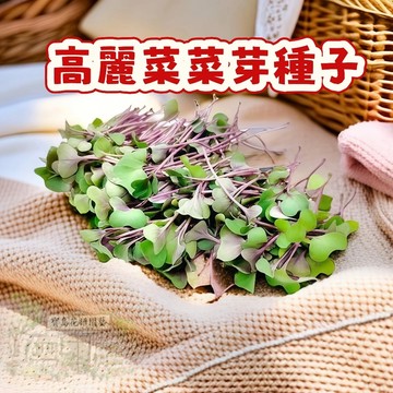 🌱早熟高產  （高麗菜菜芽種子）甘藍  當季新籽   發芽率高   產量高 營養豐富 新手易種 庭院陽台盆栽 #自留種