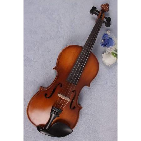 Left hand Electric Violin size Maple Spruce wood ebony fingerboard Hand made Violin With Case Bow Kit (4 4-left)