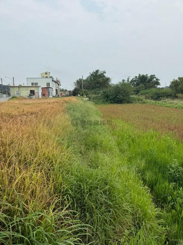 香山臨路215坪美農地｜新竹市新竹市內湖段